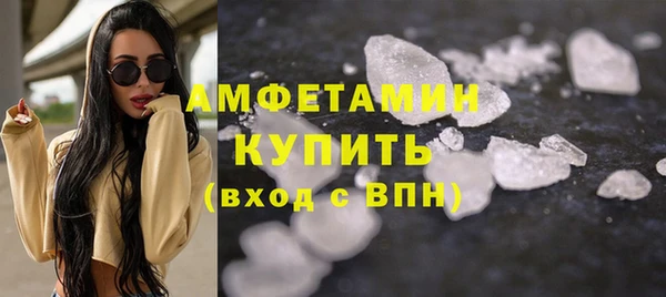 сатива Карпинск