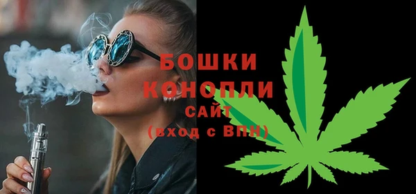 spice Инсар