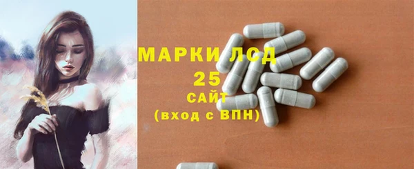 spice Инта