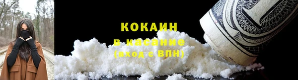 спайс Касимов