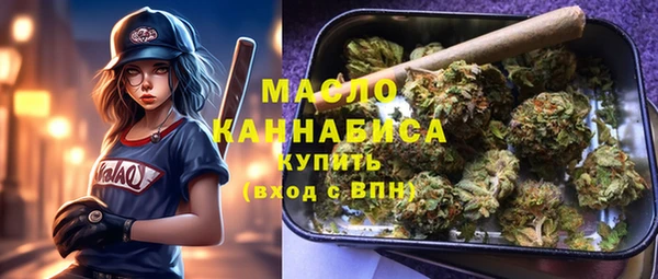 spice Инсар