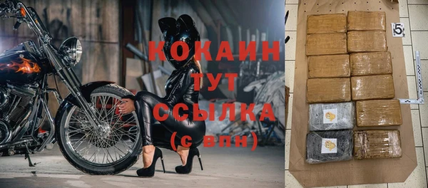 spice Инта