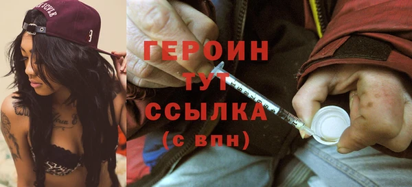 spice Инта