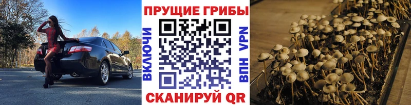 Галлюциногенные грибы мицелий  Ликино-Дулёво 